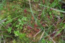 IMGP9902-1024.jpg