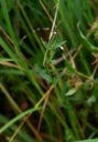 IMGP9907-1024.jpg