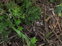IMGP9910-1024.jpg