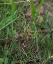 IMGP9913-1024.jpg