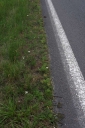 IMGP9921-1024.jpg