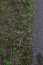 IMGP9924-1024.jpg