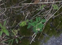 IMGP9925-1024.jpg