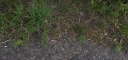 IMGP9926-1024.jpg