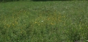 IMGP0001-1024.jpg