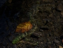 IMGP9914-1024.jpg