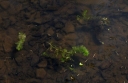 IMGP9915-1024.jpg