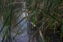 IMGP9922-1024.jpg