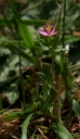 IMGP9928-1024.jpg