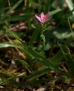 IMGP9929-1024.jpg