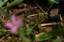 IMGP9930-1024.jpg