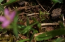 IMGP9931-1024.jpg