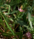 IMGP9932-1024.jpg