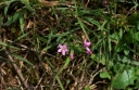IMGP9937-1024.jpg
