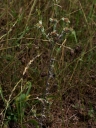 IMGP9939-1024.jpg