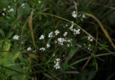 IMGP9941-1024.jpg