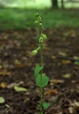 IMGP9955-1024.jpg