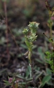 IMGP9957-1024.jpg