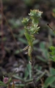 IMGP9958-1024.jpg