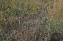 IMGP9963-1024.jpg