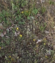 IMGP9966-1024.jpg