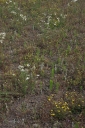 IMGP9975-1024.jpg