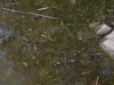 IMGP9976-1024.jpg