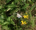 IMGP9977-1024.jpg