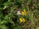 IMGP9979-1024.jpg