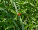 IMGP9991-1024.jpg