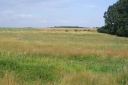 IMGP9994-1024.jpg