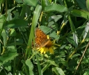 IMGP9997-1024.jpg