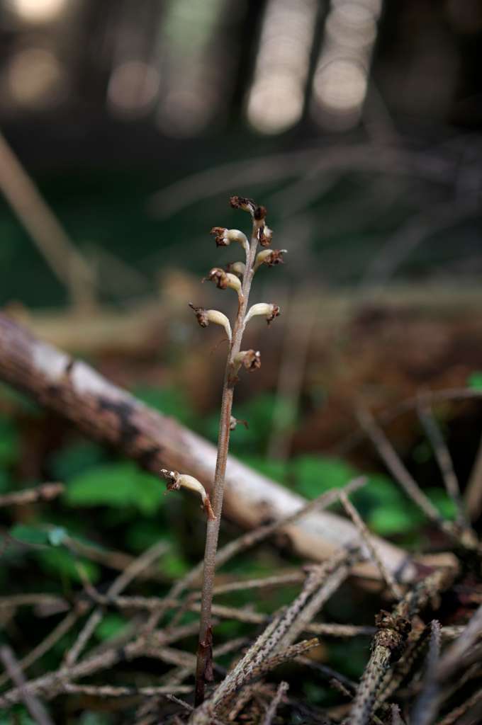 IMGP0218-1024.jpg