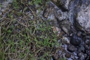 IMGP0029-1024.jpg