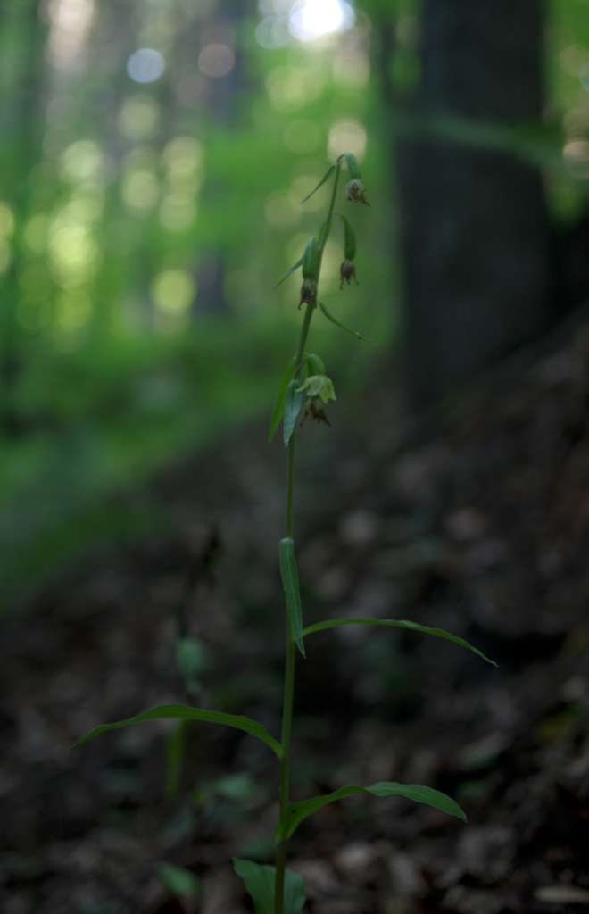 IMGP0442-1024.jpg