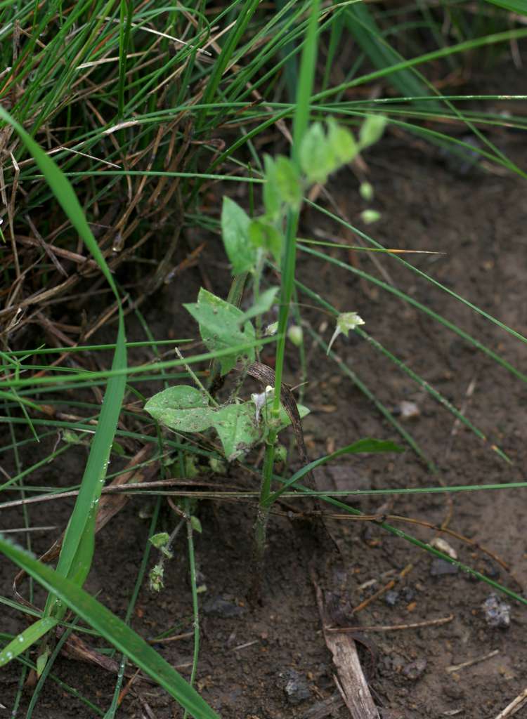 IMGP0496-1024.jpg