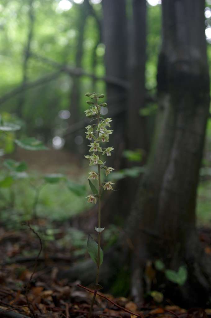 IMGP0550-1024.jpg