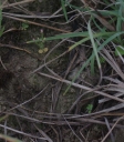 Název souboru=IMGP0566-1024.jpg
Velikost souboru=104KB
Rozměry=903x1024
Datum přidání=16. Srpen 2026 IMGP0566-1024.jpg