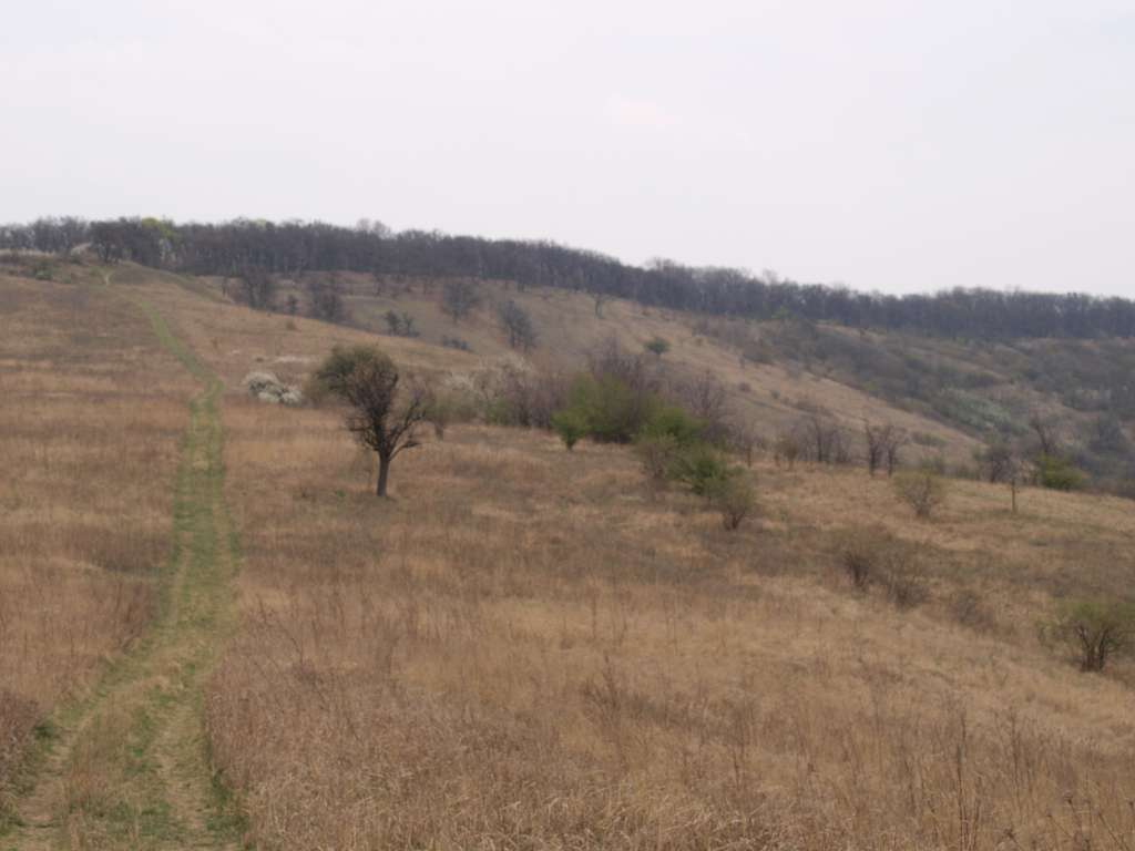 Pozdřanská step
