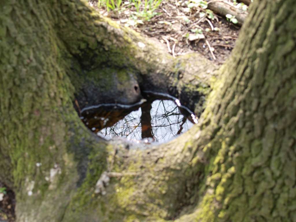 Studánka :-)
