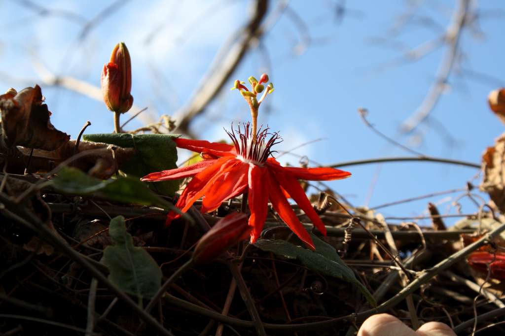 20100920_062931_Vlada_DPP_0099-1024.jpg