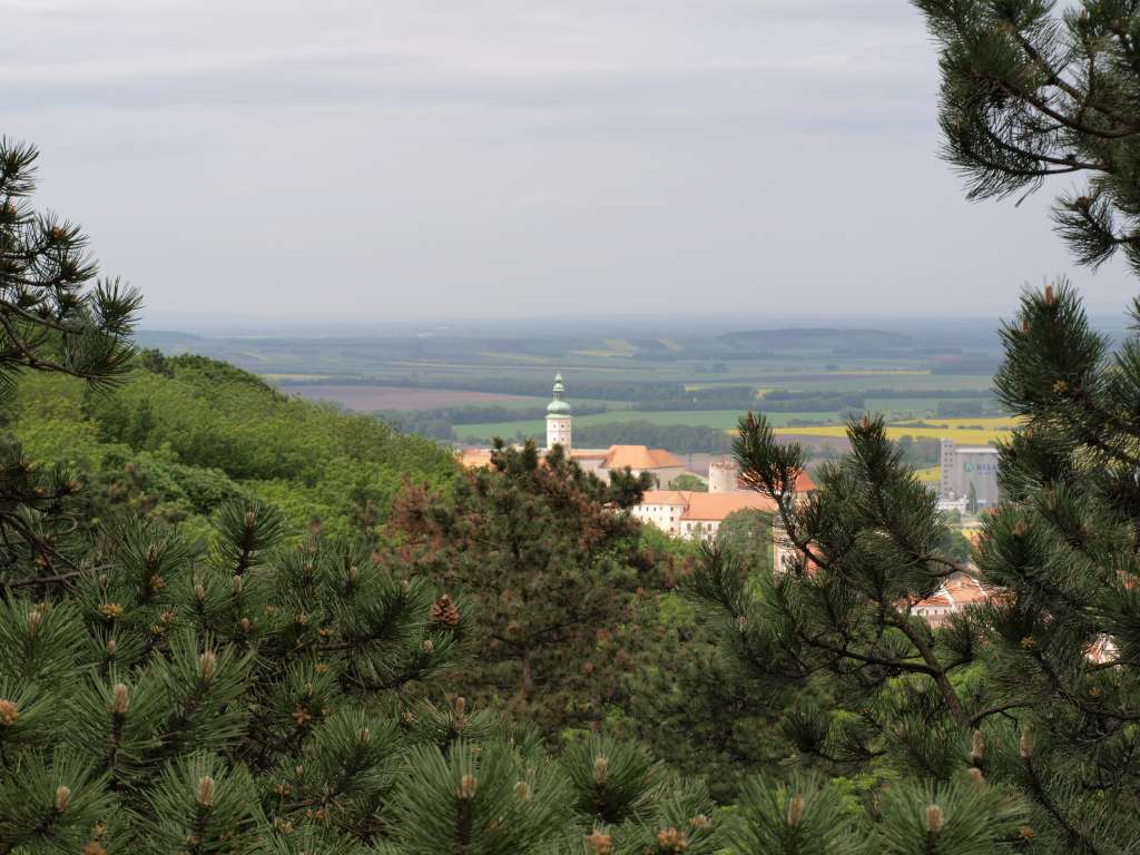 Mikulov
