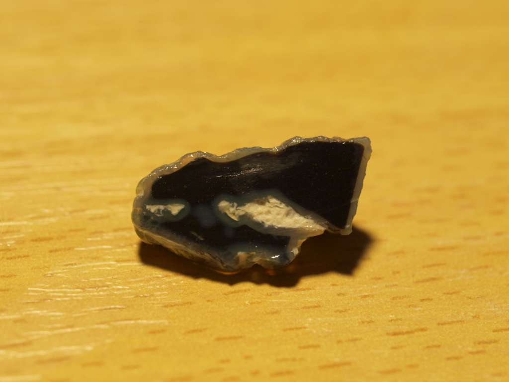 PC198311-1024.jpg