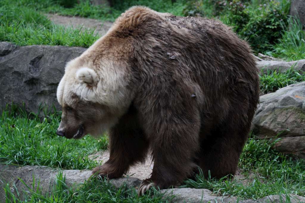 20100923_064710_Vlada_DPP_1239-1024.jpg